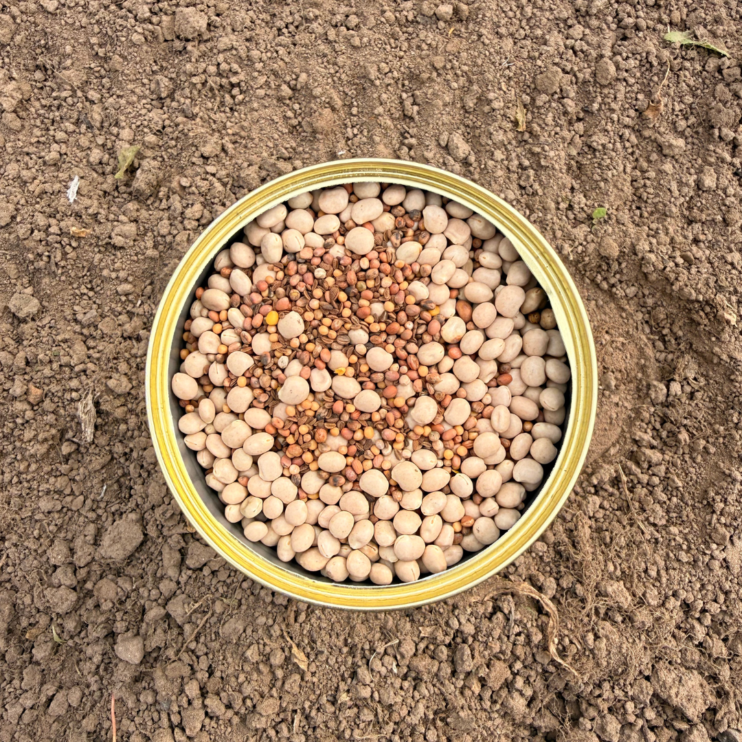 DIRVOS SUPERMAISTAS (Tarpinių pasėlių mišinys) 0.900 kg