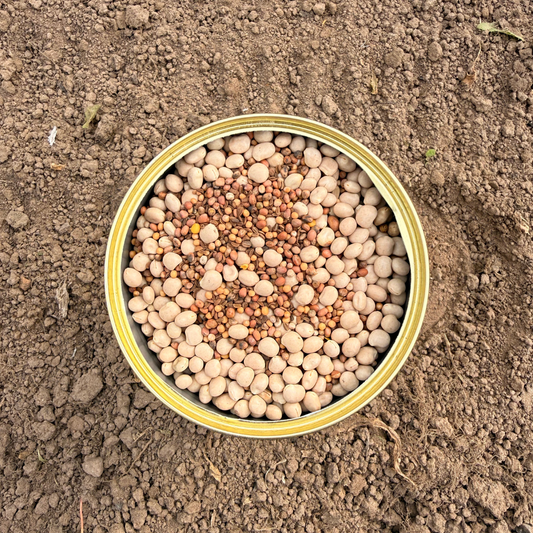 DIRVOS SUPERMAISTAS (Tarpinių pasėlių mišinys) 0.900 kg