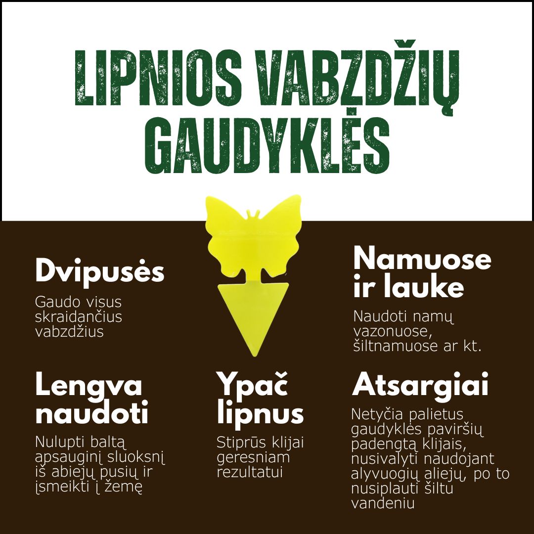 Dvipusės Lipnios Vabzdžių Gaudyklės 5 vnt. (Namuose ir Lauke)