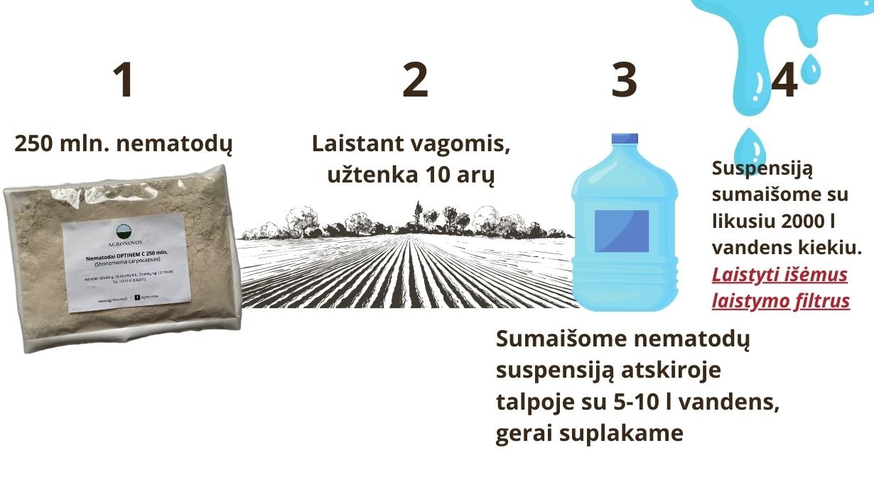 kaip naudoti nematodus laistant vagomis