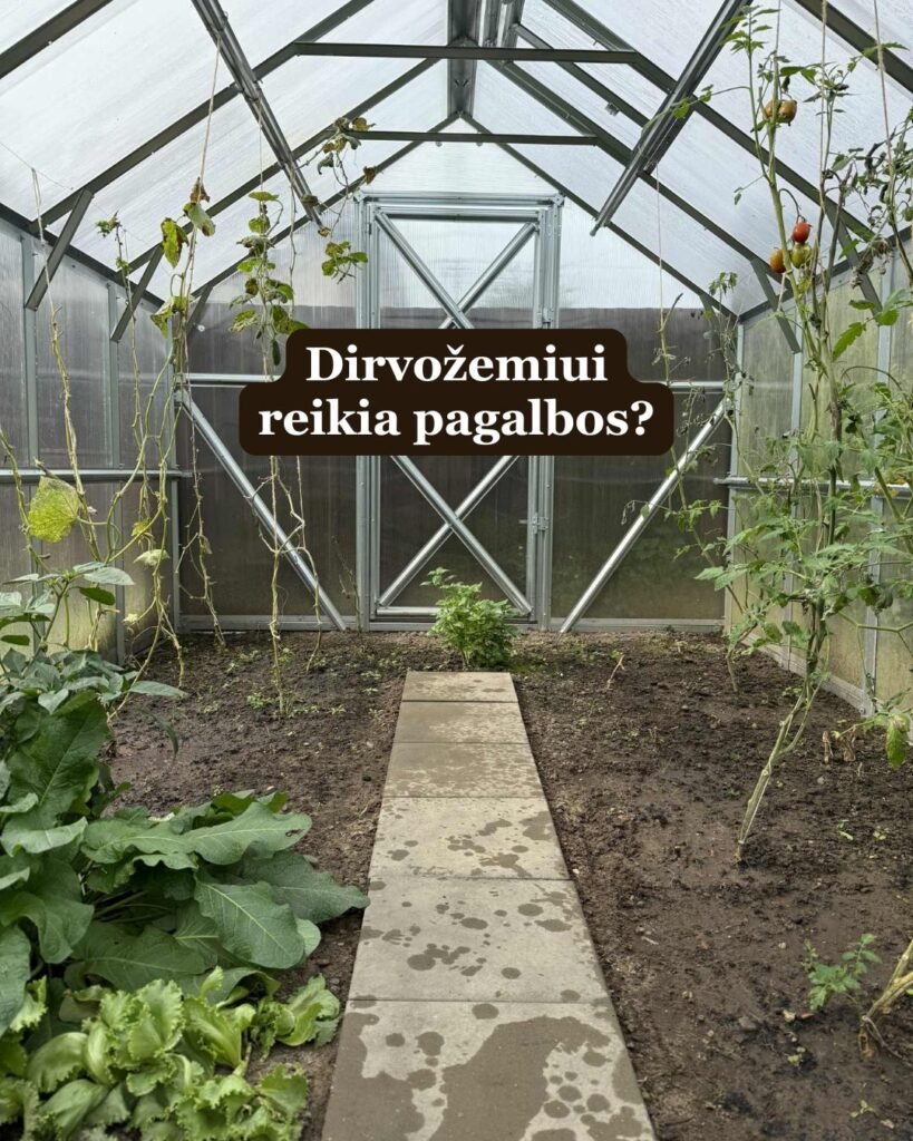 tarpiniai-paseliai-zemes-pagerinimas
